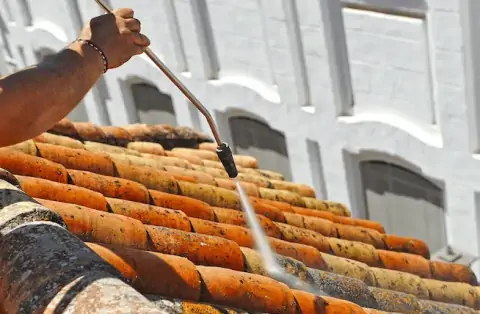 Nettoyage de toitures - Coublevie